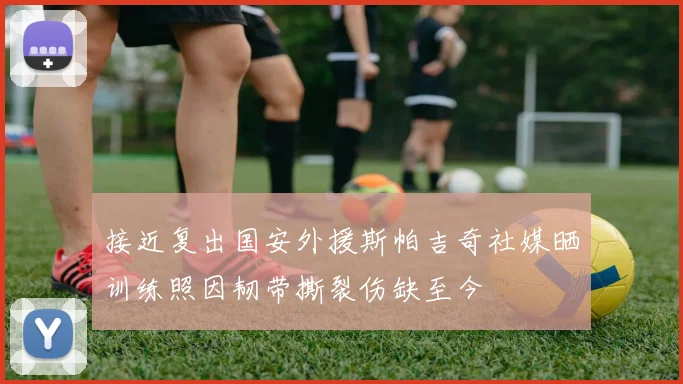 接近复出国安外援斯帕吉奇社媒晒训练照因韧带撕裂伤缺至今
