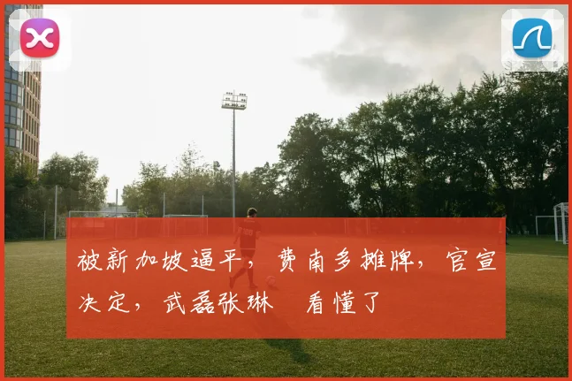 被新加坡逼平，费南多摊牌，官宣决定，武磊张琳芃看懂了
