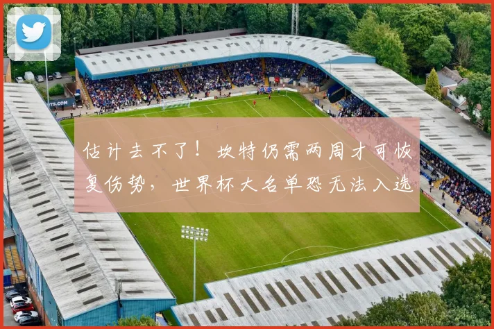 估计去不了！坎特仍需两周才可恢复伤势，世界杯大名单恐无法入选