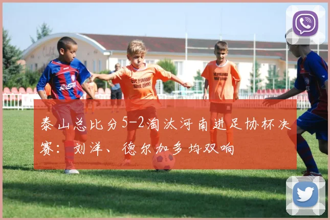 泰山总比分5-2淘汰河南进足协杯决赛：刘洋、德尔加多均双响